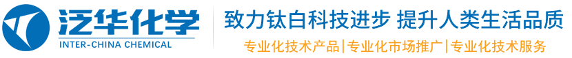 新闻VIP首页